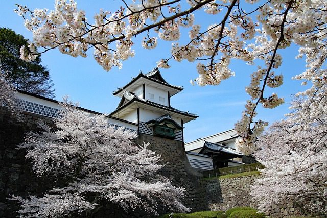 Giappone cosa vedere in dieci giorni. Pesco in fiore con casa tipica giapponese